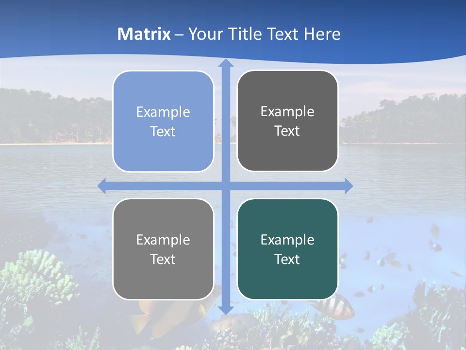 Coral Reef Eilat PowerPoint Template