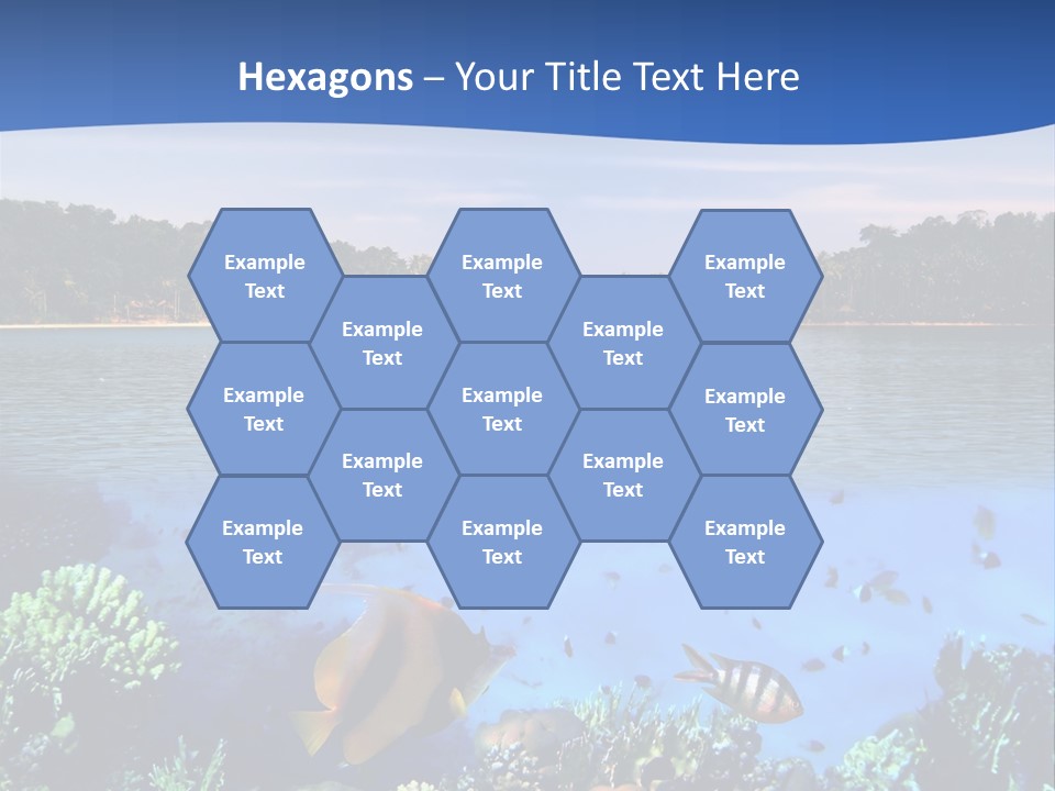 Coral Reef Eilat PowerPoint Template