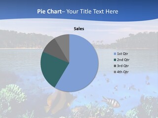 Coral Reef Eilat PowerPoint Template