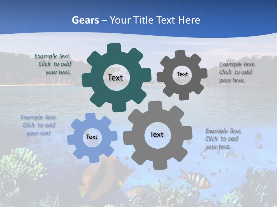 Coral Reef Eilat PowerPoint Template