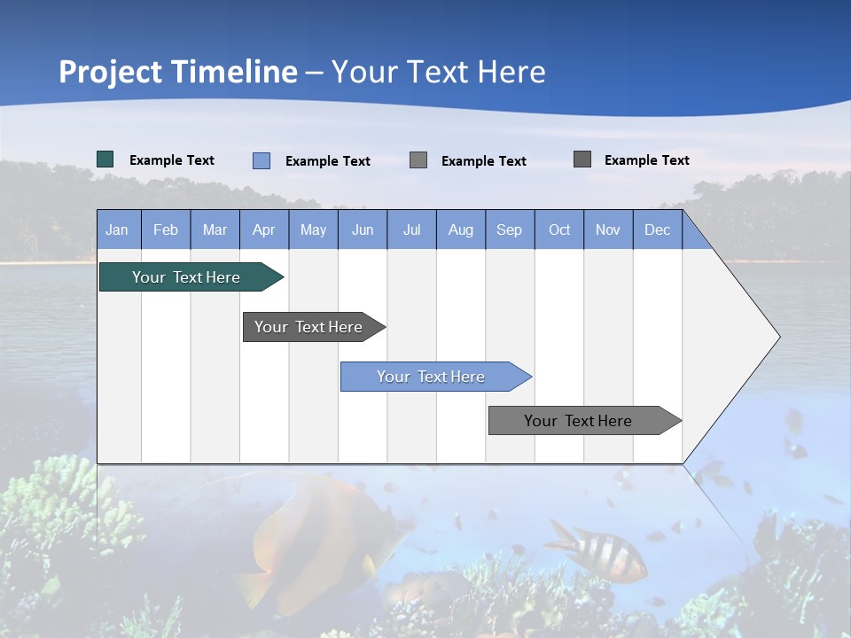 Coral Reef Eilat PowerPoint Template