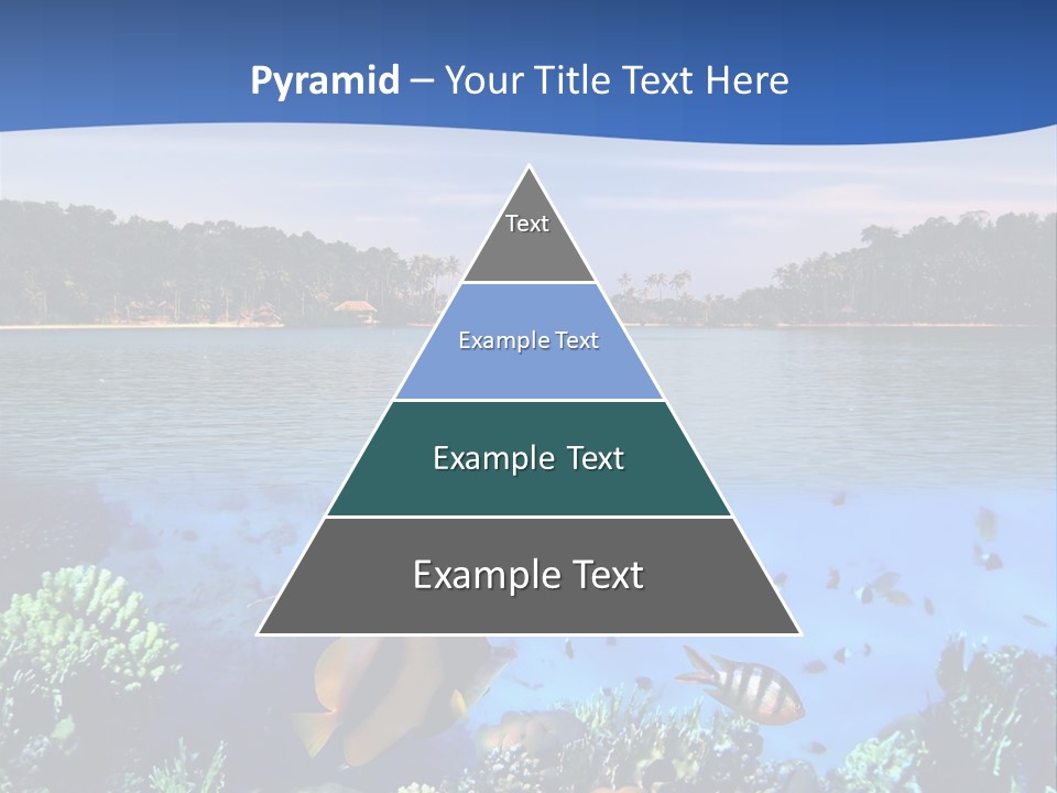 Coral Reef Eilat PowerPoint Template