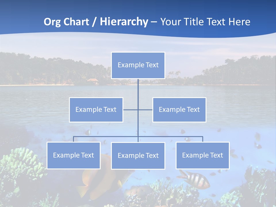 Coral Reef Eilat PowerPoint Template