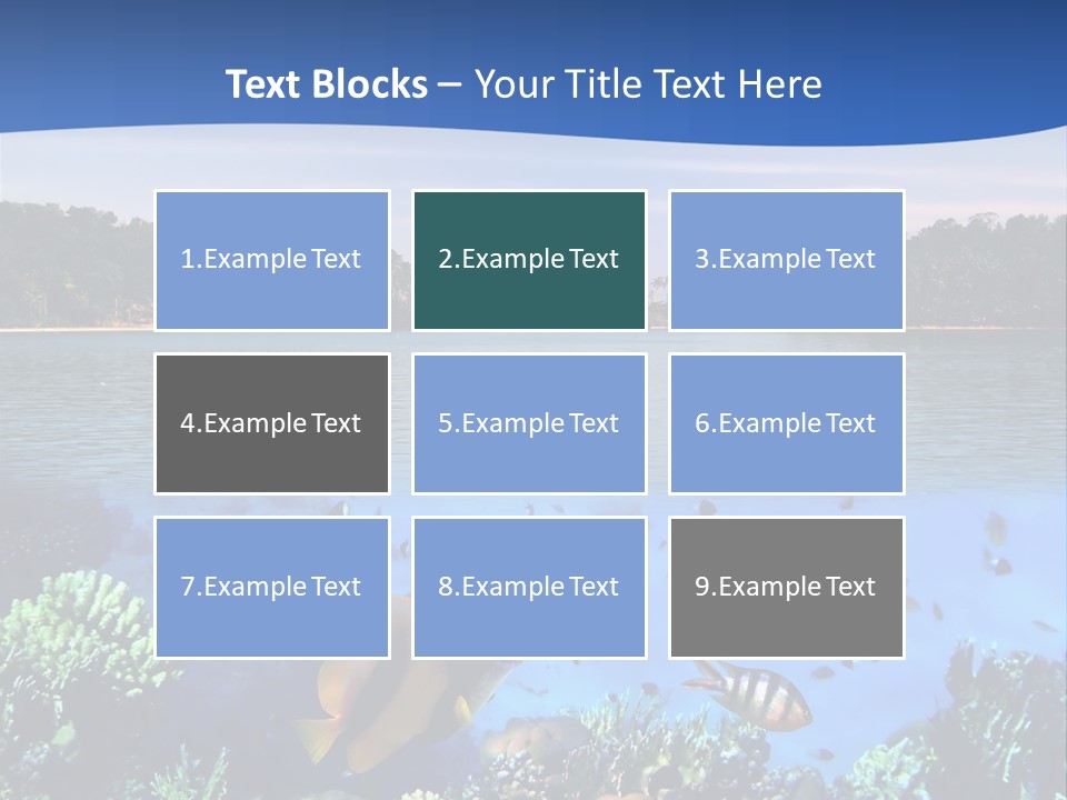 Coral Reef Eilat PowerPoint Template