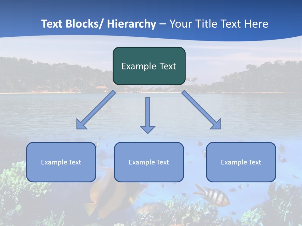 Coral Reef Eilat PowerPoint Template