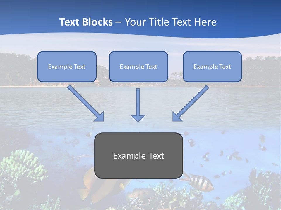 Coral Reef Eilat PowerPoint Template