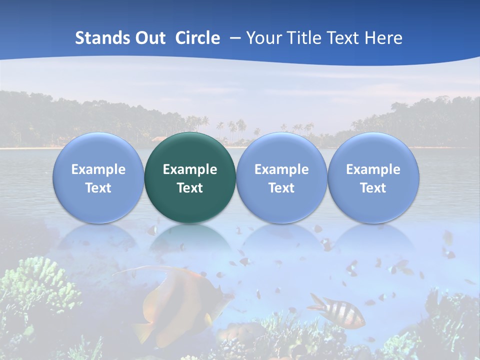 Coral Reef Eilat PowerPoint Template