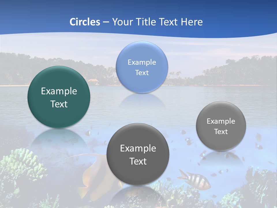 Coral Reef Eilat PowerPoint Template