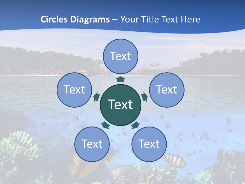 Coral Reef Eilat PowerPoint Template