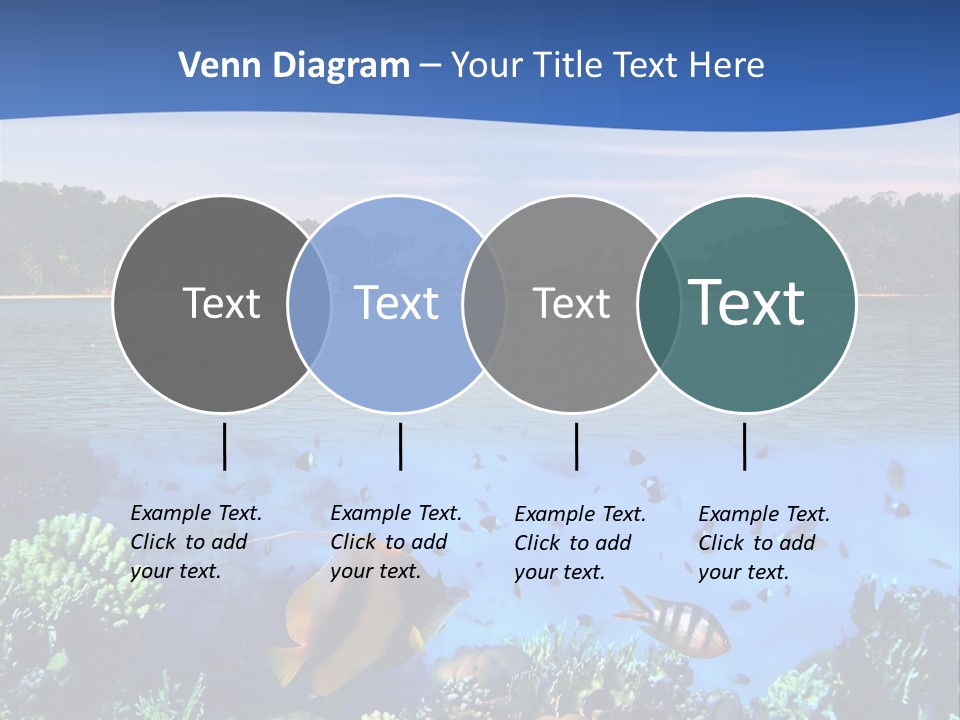 Coral Reef Eilat PowerPoint Template