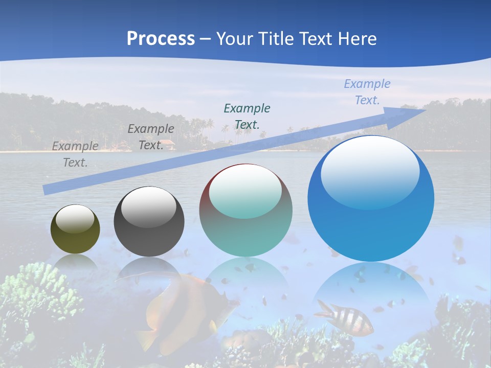 Coral Reef Eilat PowerPoint Template