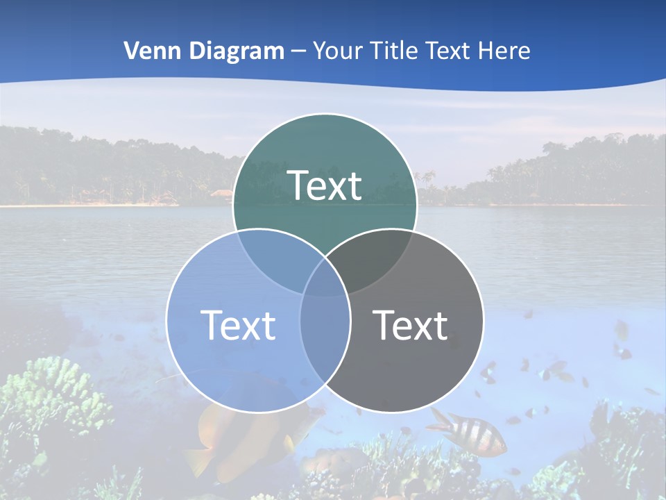 Coral Reef Eilat PowerPoint Template