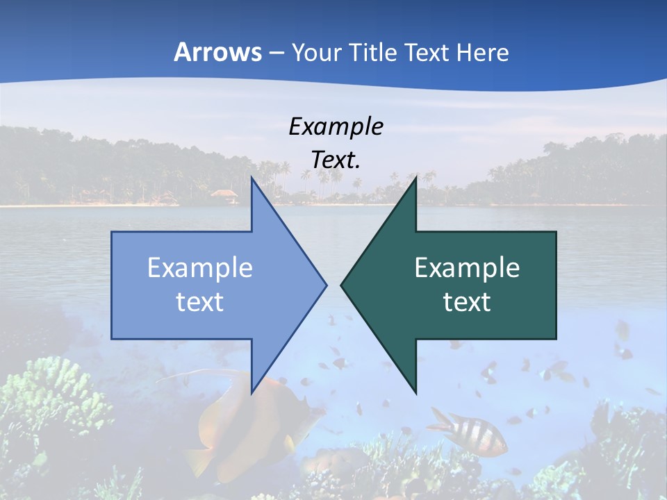 Coral Reef Eilat PowerPoint Template