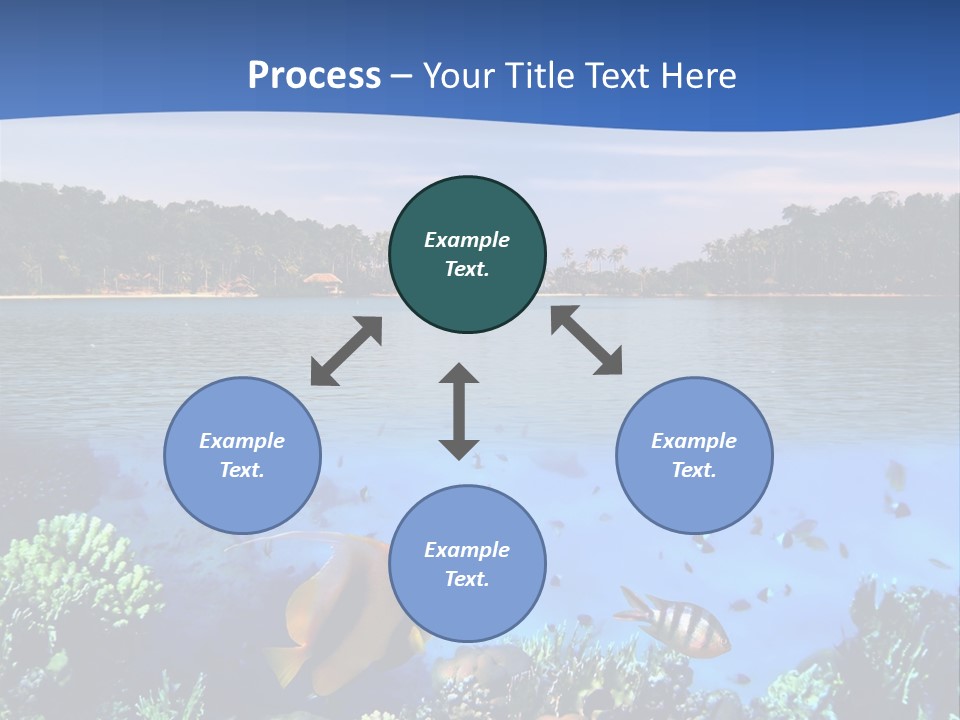 Coral Reef Eilat PowerPoint Template