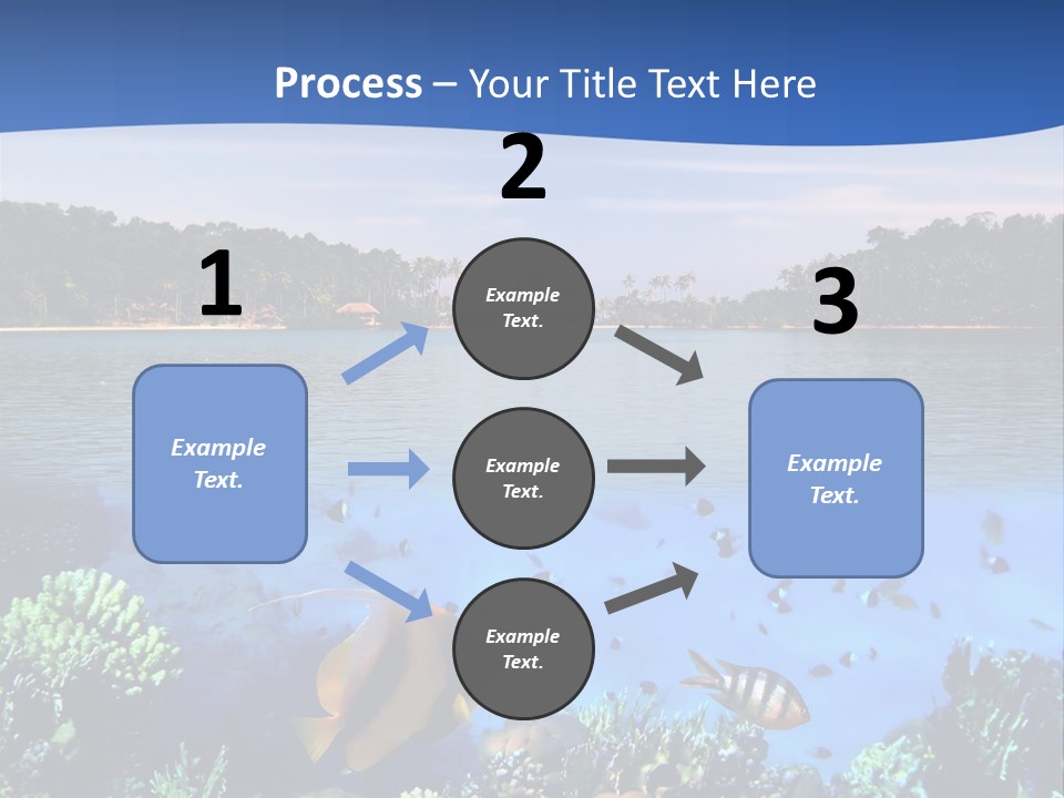 Coral Reef Eilat PowerPoint Template