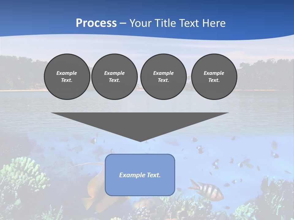 Coral Reef Eilat PowerPoint Template