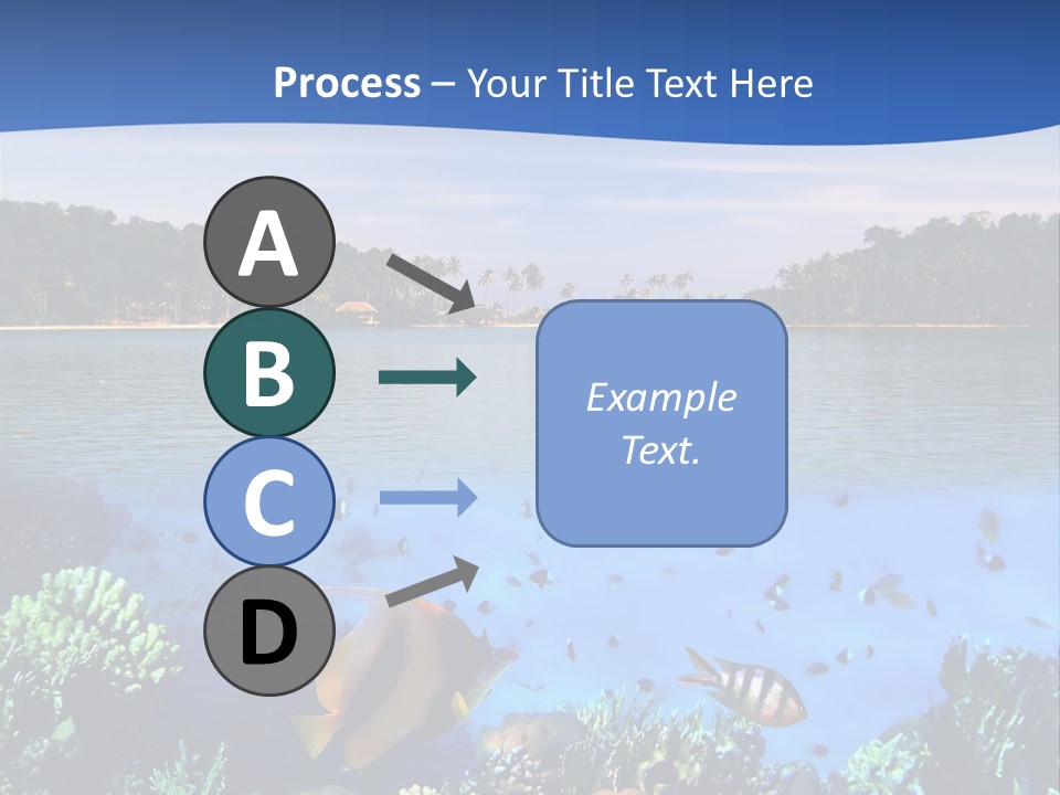 Coral Reef Eilat PowerPoint Template