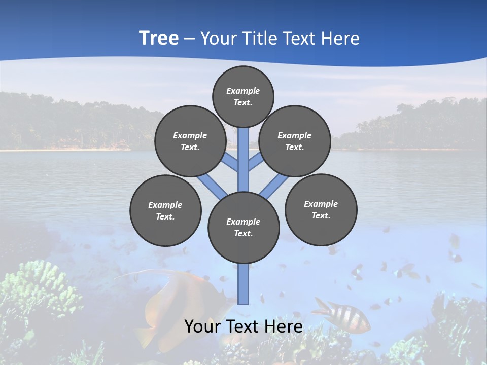 Coral Reef Eilat PowerPoint Template