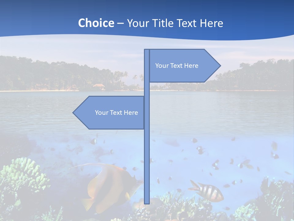 Coral Reef Eilat PowerPoint Template