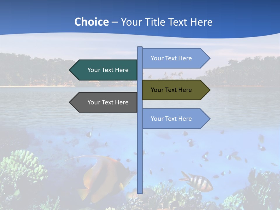 Coral Reef Eilat PowerPoint Template