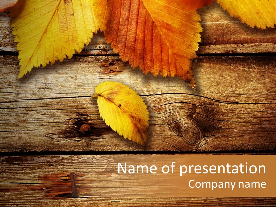 Autumn Leaves PowerPoint Template