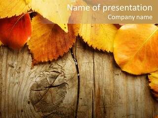 Copy Space Rusted PowerPoint Template