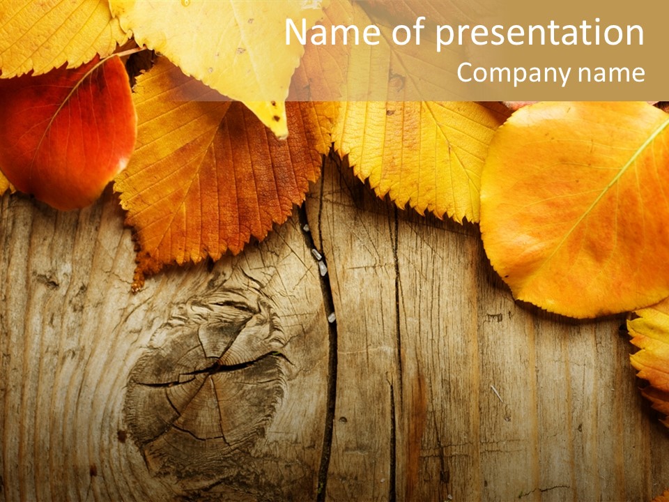 Copy Space Rusted PowerPoint Template