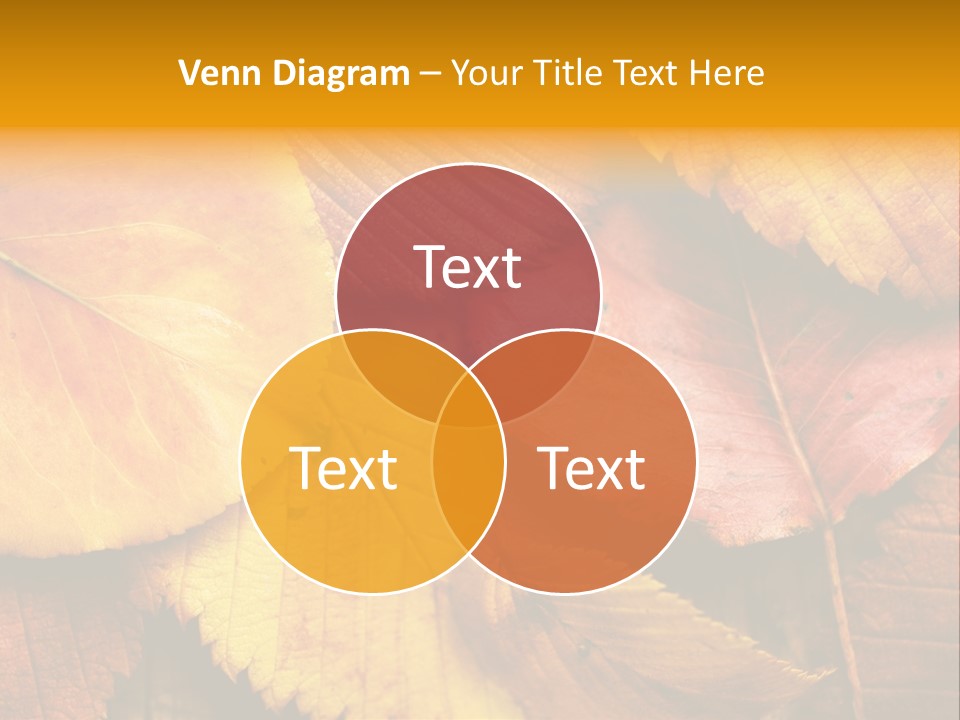 Autumn Leaves PowerPoint Template