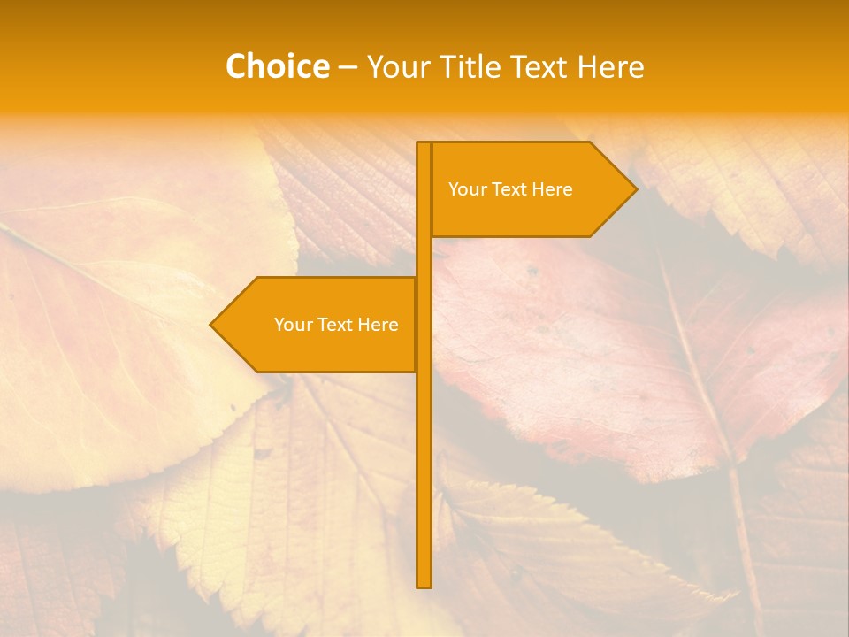 Autumn Leaves PowerPoint Template