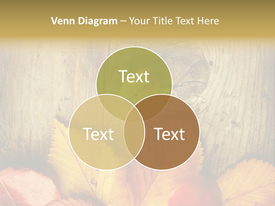 Red Surface Vintage PowerPoint Template