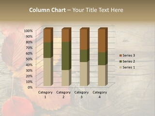 Brown Border Horizontal PowerPoint Template