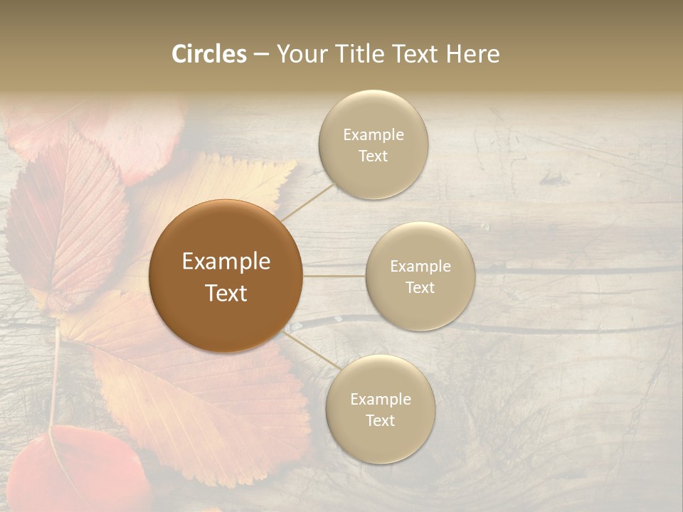 Brown Border Horizontal PowerPoint Template