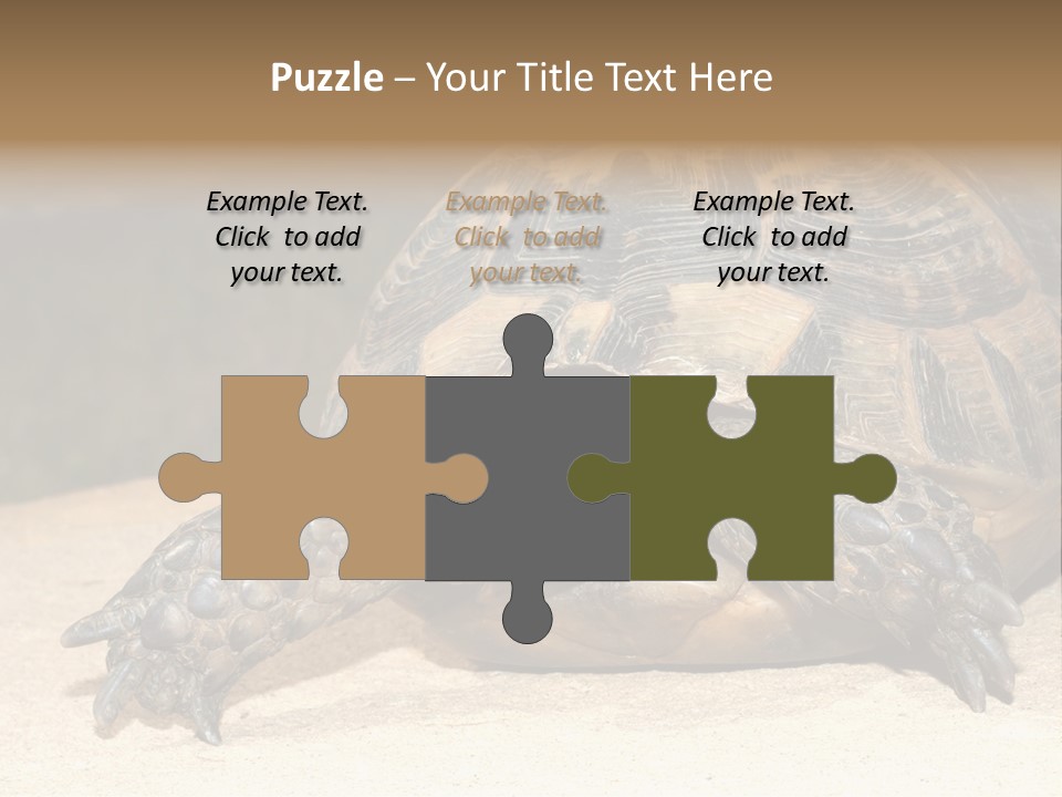 Reptilia Relax Isolated PowerPoint Template