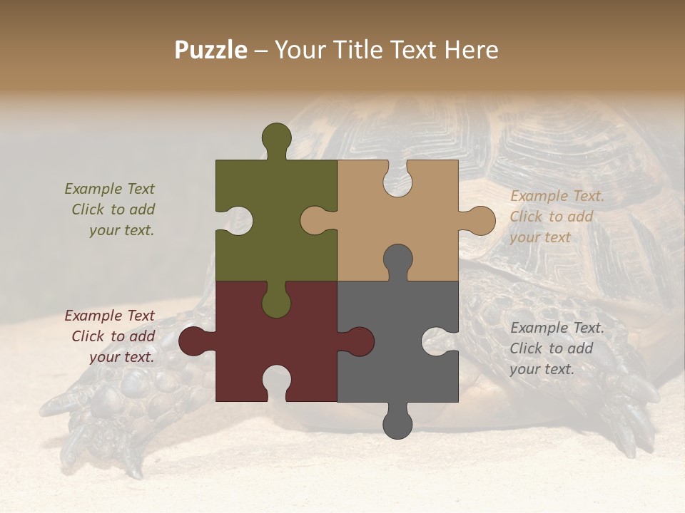 Reptilia Relax Isolated PowerPoint Template