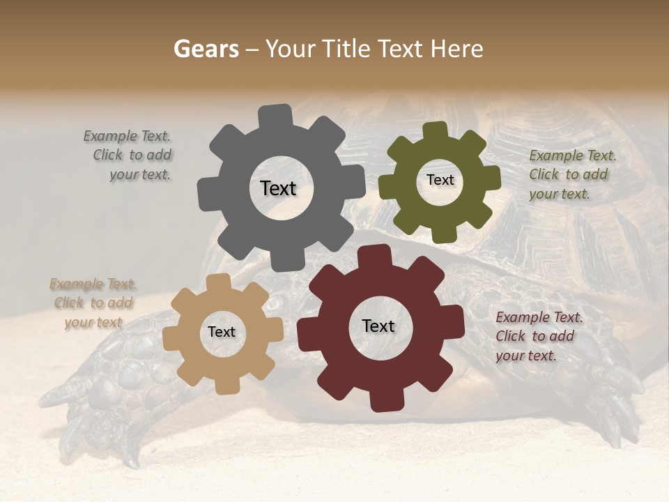 Reptilia Relax Isolated PowerPoint Template