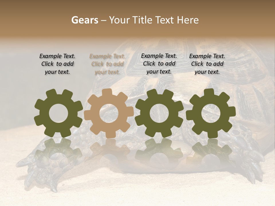 Reptilia Relax Isolated PowerPoint Template