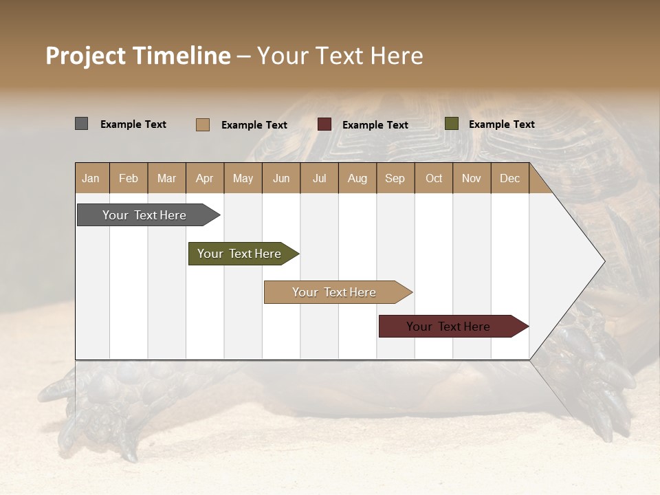 Reptilia Relax Isolated PowerPoint Template