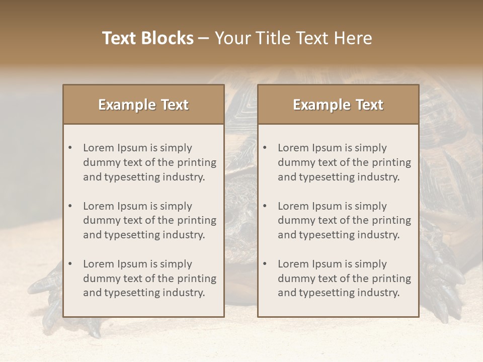 Reptilia Relax Isolated PowerPoint Template