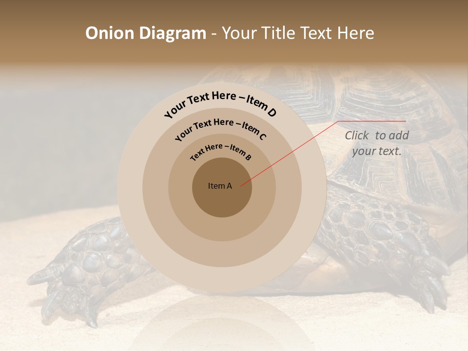 Reptilia Relax Isolated PowerPoint Template