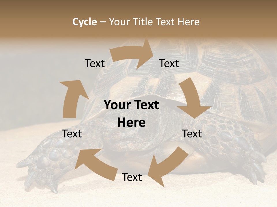 Reptilia Relax Isolated PowerPoint Template