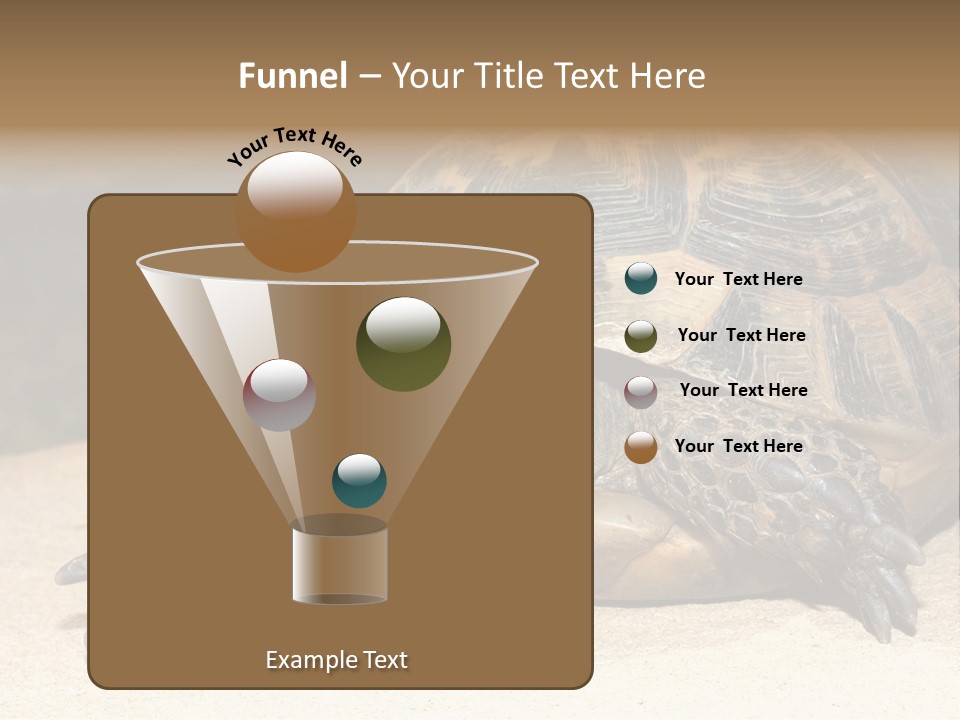 Reptilia Relax Isolated PowerPoint Template