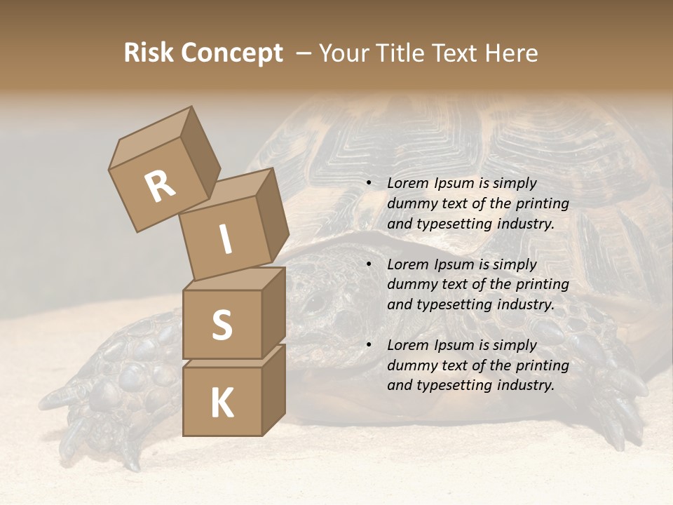 Reptilia Relax Isolated PowerPoint Template