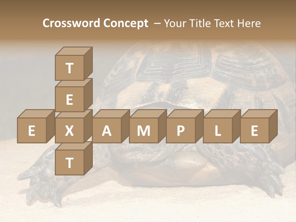 Reptilia Relax Isolated PowerPoint Template