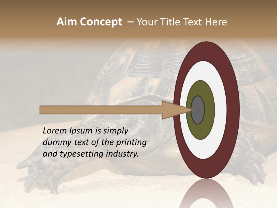 Reptilia Relax Isolated PowerPoint Template