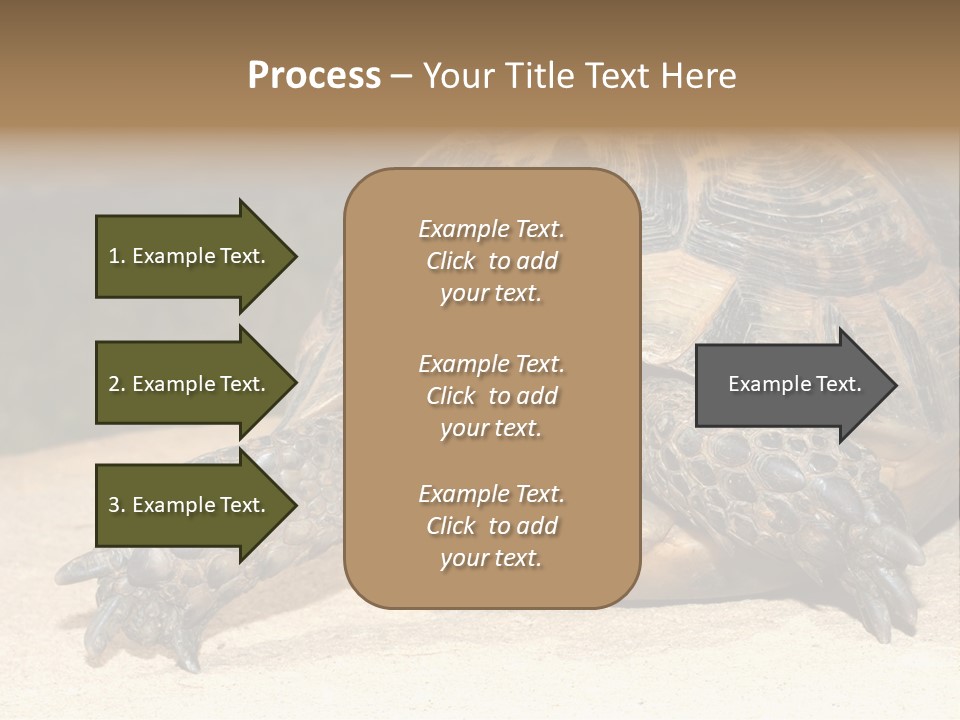 Reptilia Relax Isolated PowerPoint Template