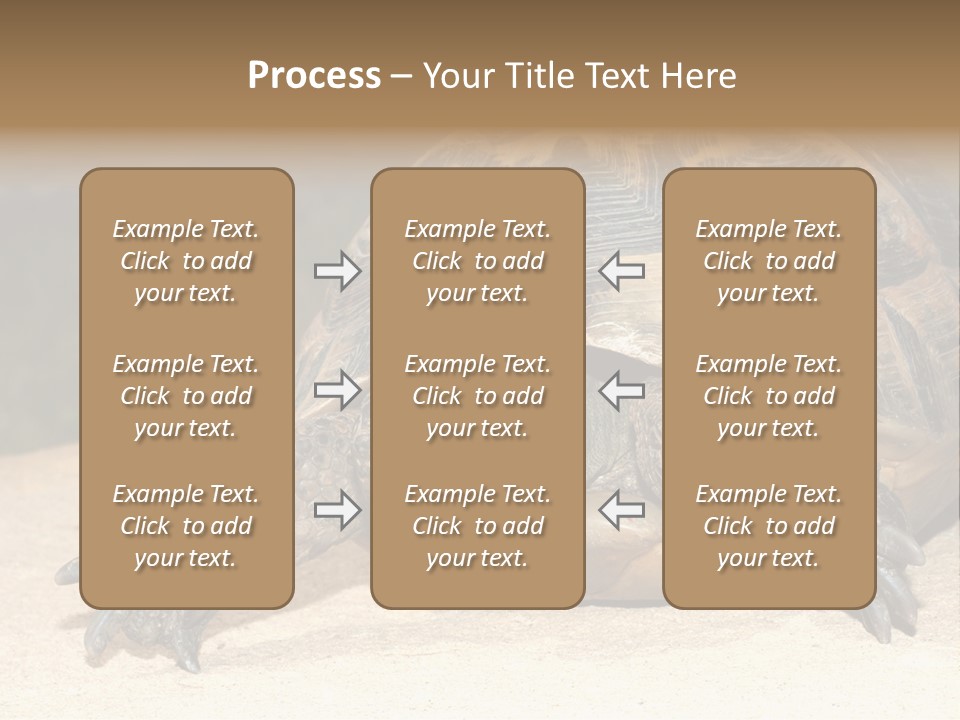 Reptilia Relax Isolated PowerPoint Template
