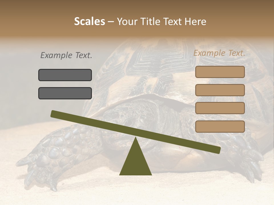 Reptilia Relax Isolated PowerPoint Template