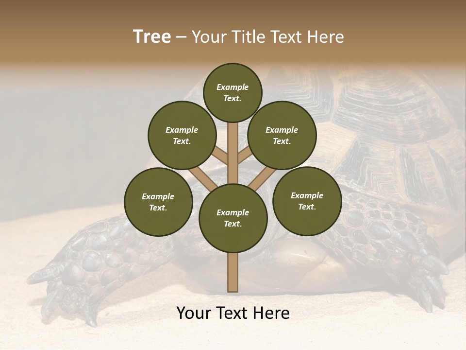 Reptilia Relax Isolated PowerPoint Template