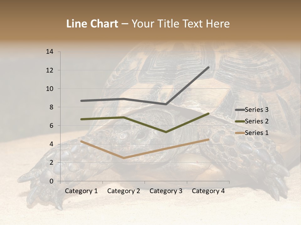 Reptilia Relax Isolated PowerPoint Template
