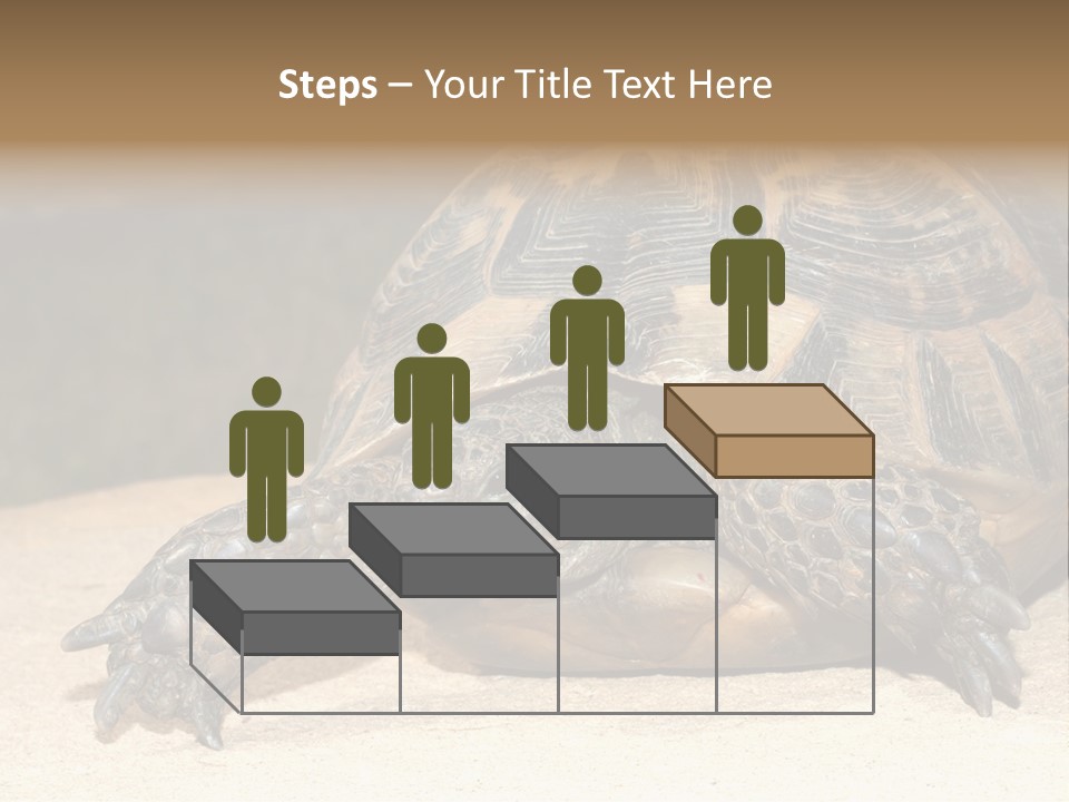 Reptilia Relax Isolated PowerPoint Template